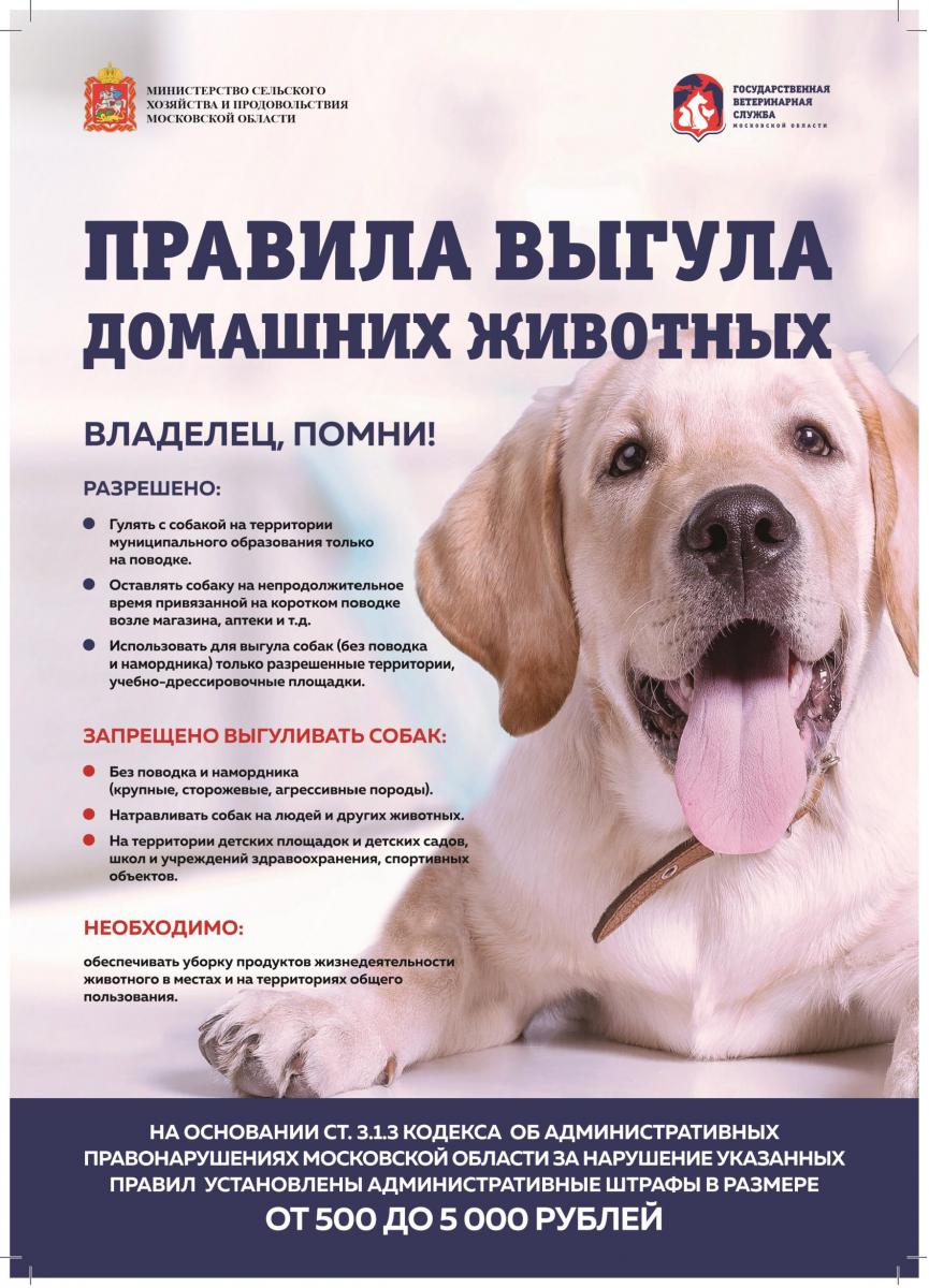 правила содержания собак и кошек в московской области